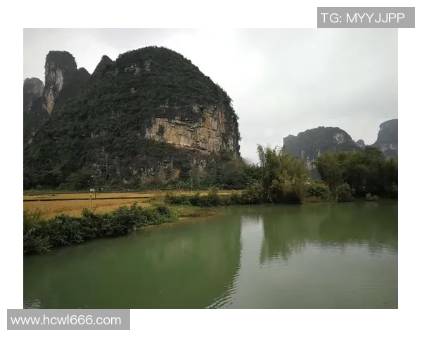 《绿茵传奇：一位足球天才从街头到世界杯的奋斗历程》